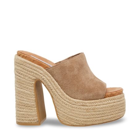 Sandalias de Plataforma Steve Madden Becca Gamuza Mujer Marrones Claro | ES JR82SE